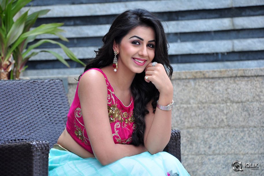 Nikki-Galrani-at-Krishnashtami-Movie-Platinum-Disc-Function